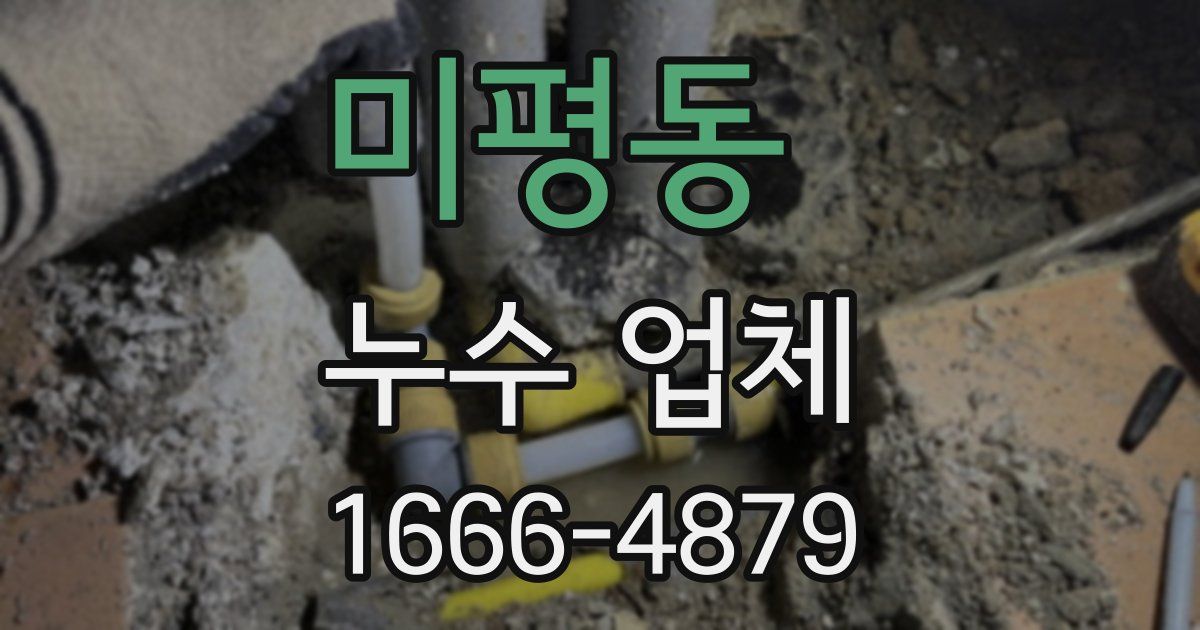 미평동 누수 업체