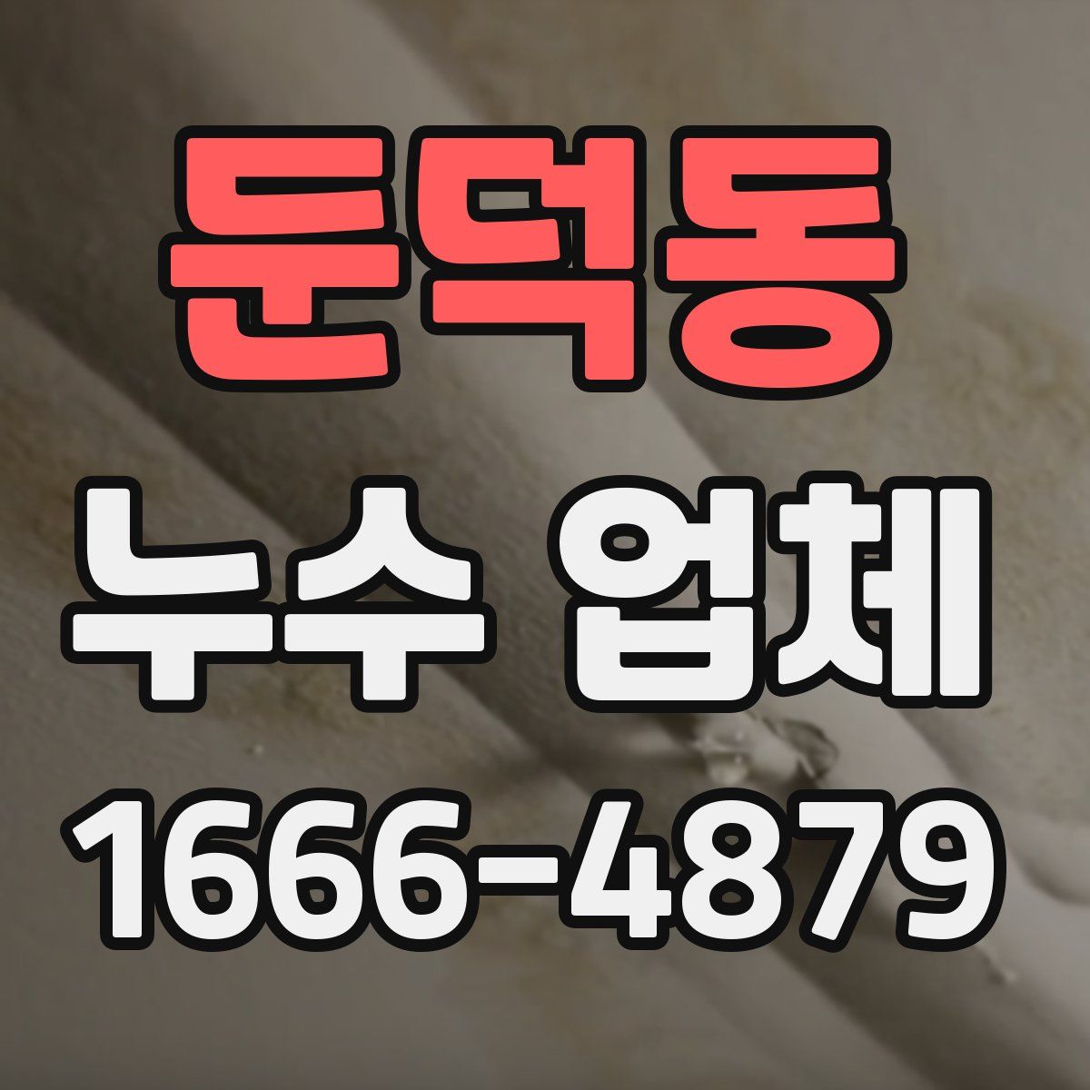 둔덕동 누수 업체