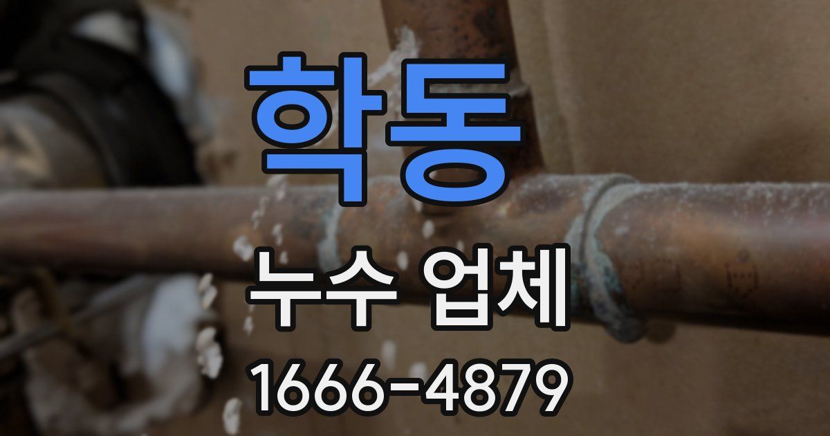 학동 누수 업체