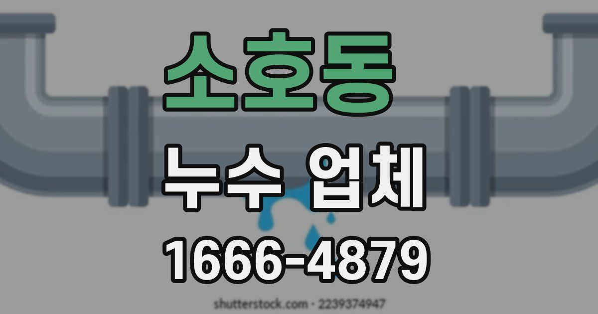 소호동 누수 업체