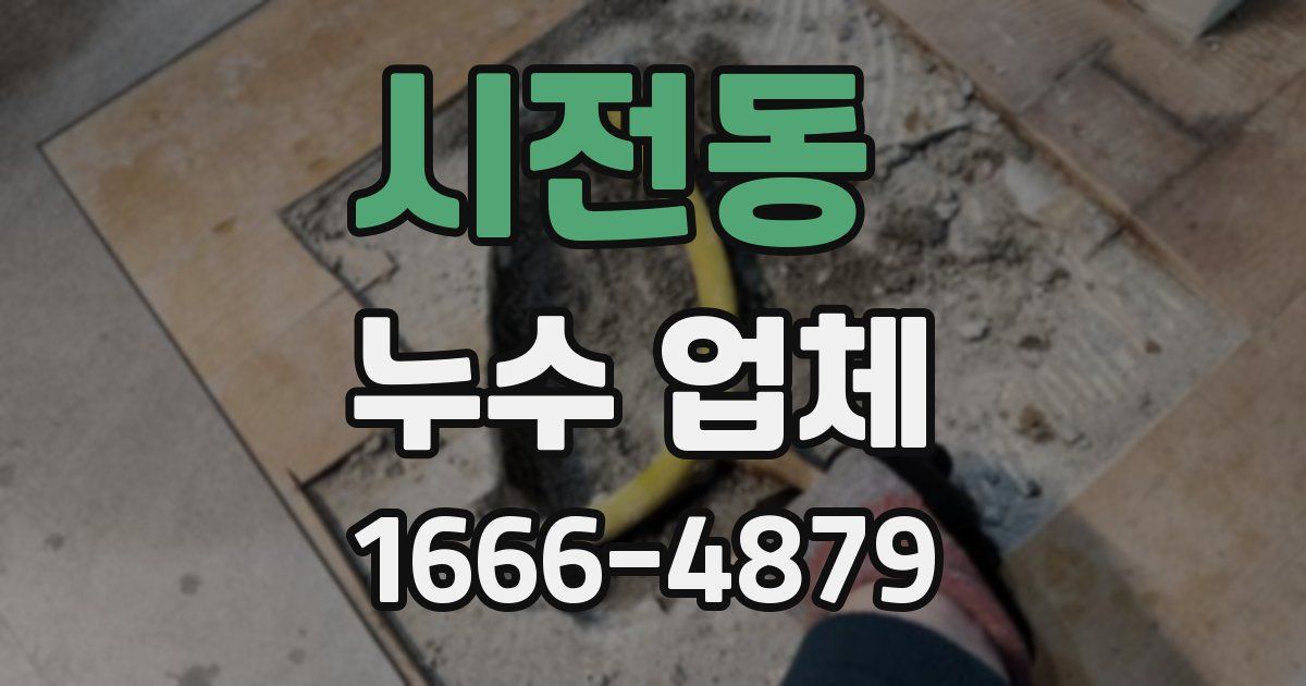 시전동 누수 업체