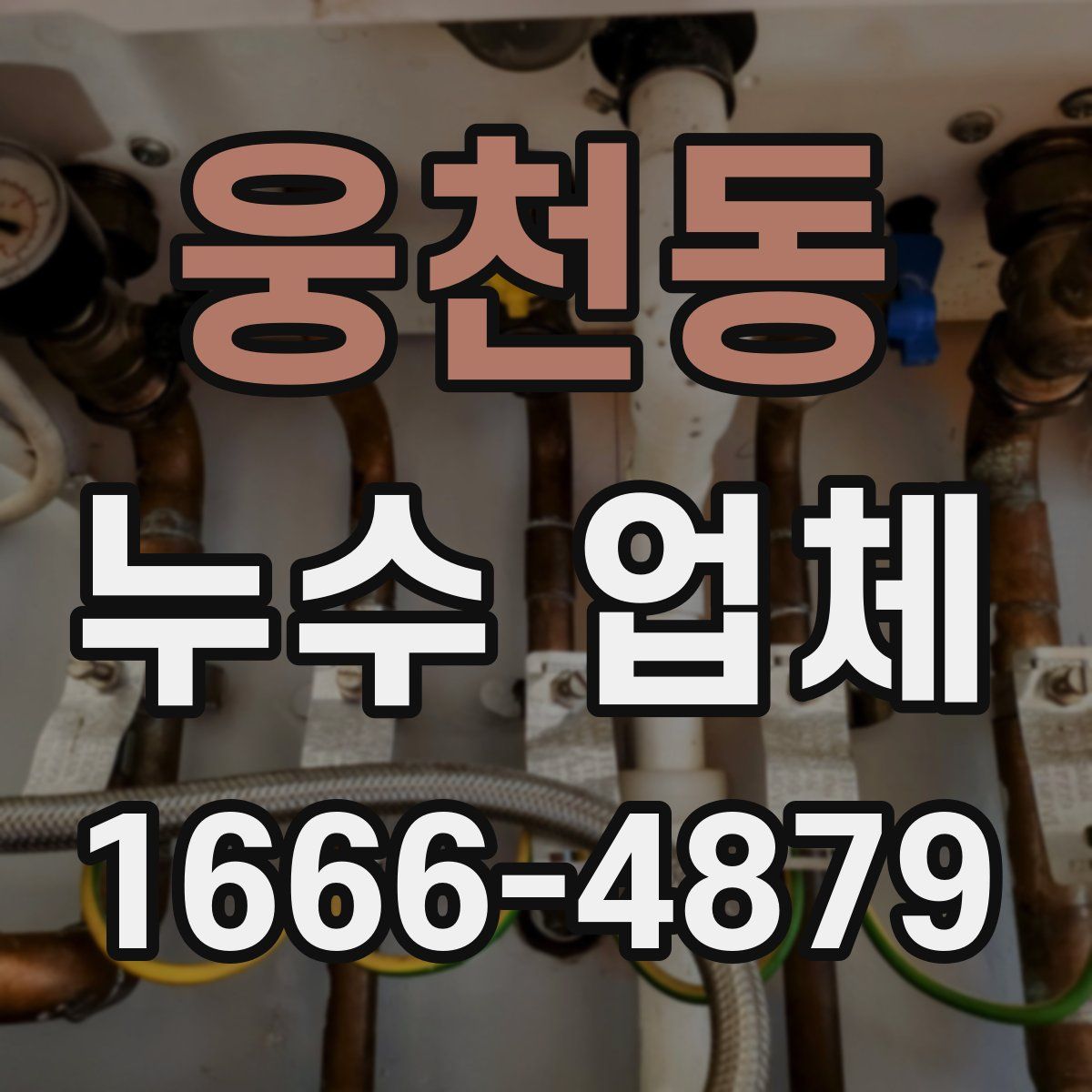웅천동 누수 업체