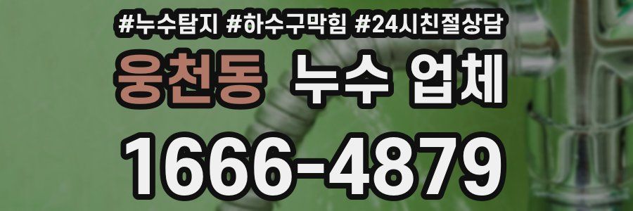 웅천동 누수 업체