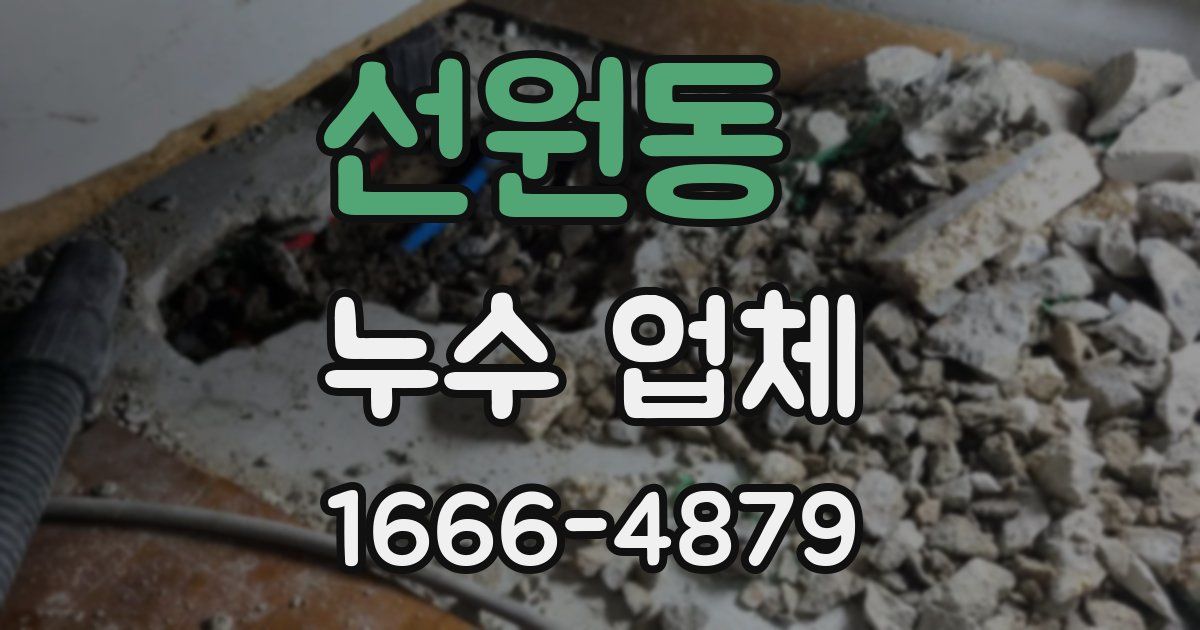 선원동 누수 업체