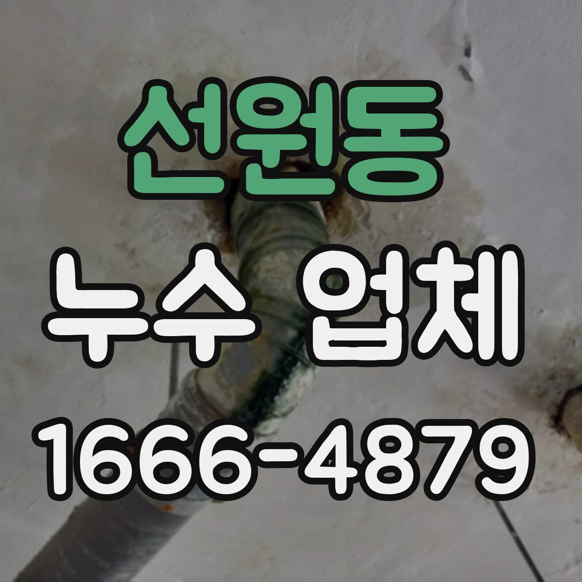 선원동 누수 업체