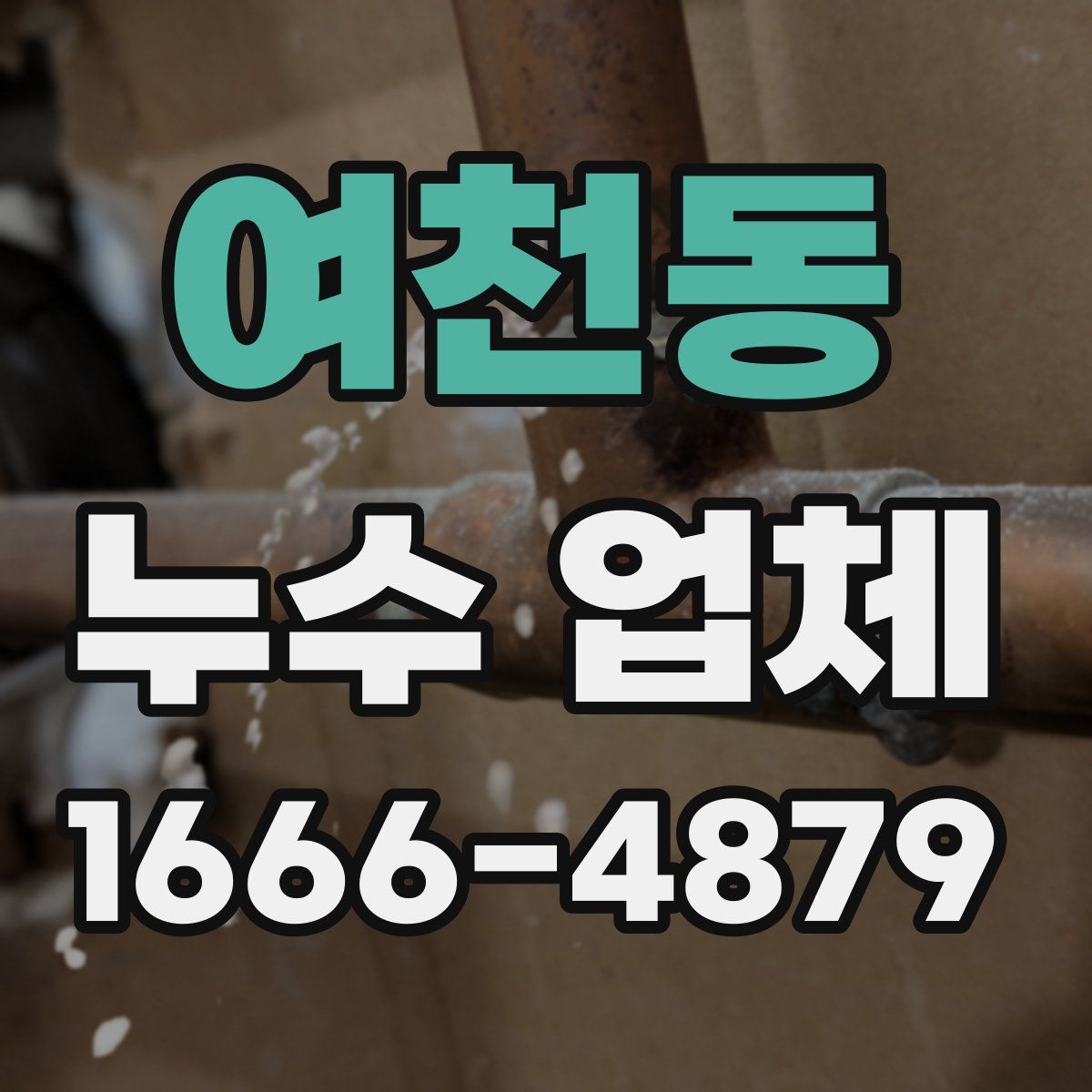 여천동 누수 업체