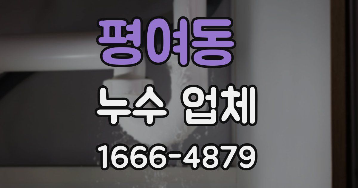 평여동 누수 업체