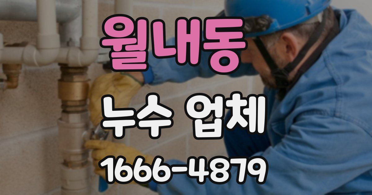 월내동 누수 업체