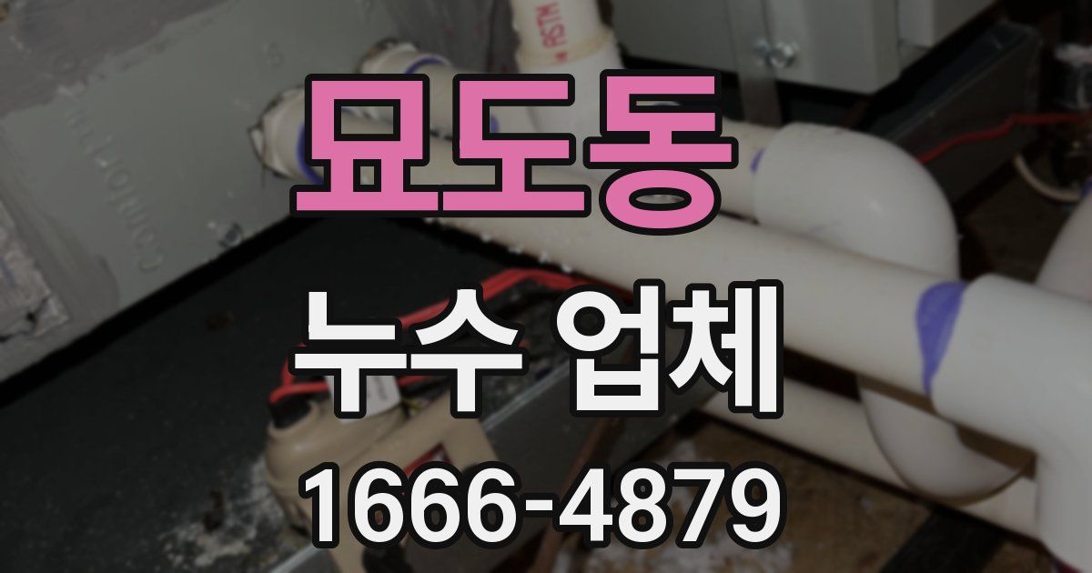 묘도동 누수 업체