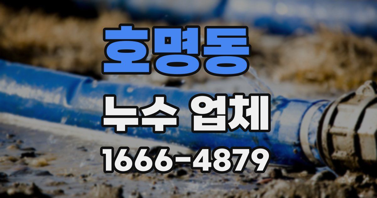 호명동 누수 업체