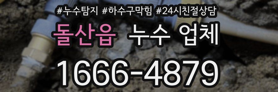 돌산읍 누수 업체