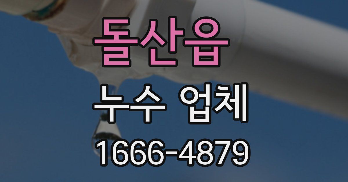 돌산읍 누수 업체