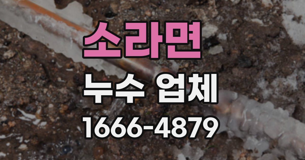 소라면 누수 업체