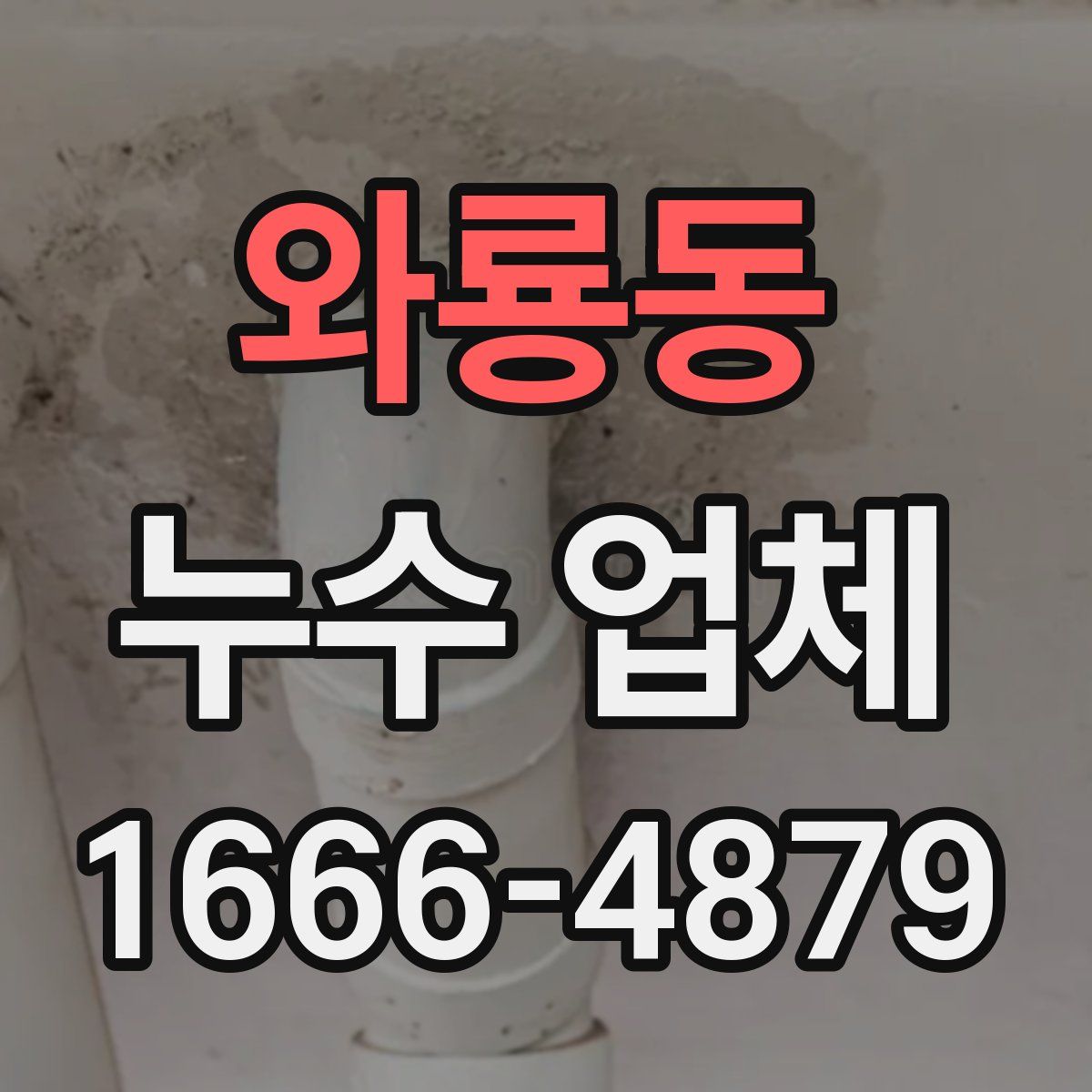 와룡동 누수 업체