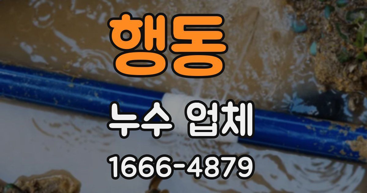 행동 누수 업체