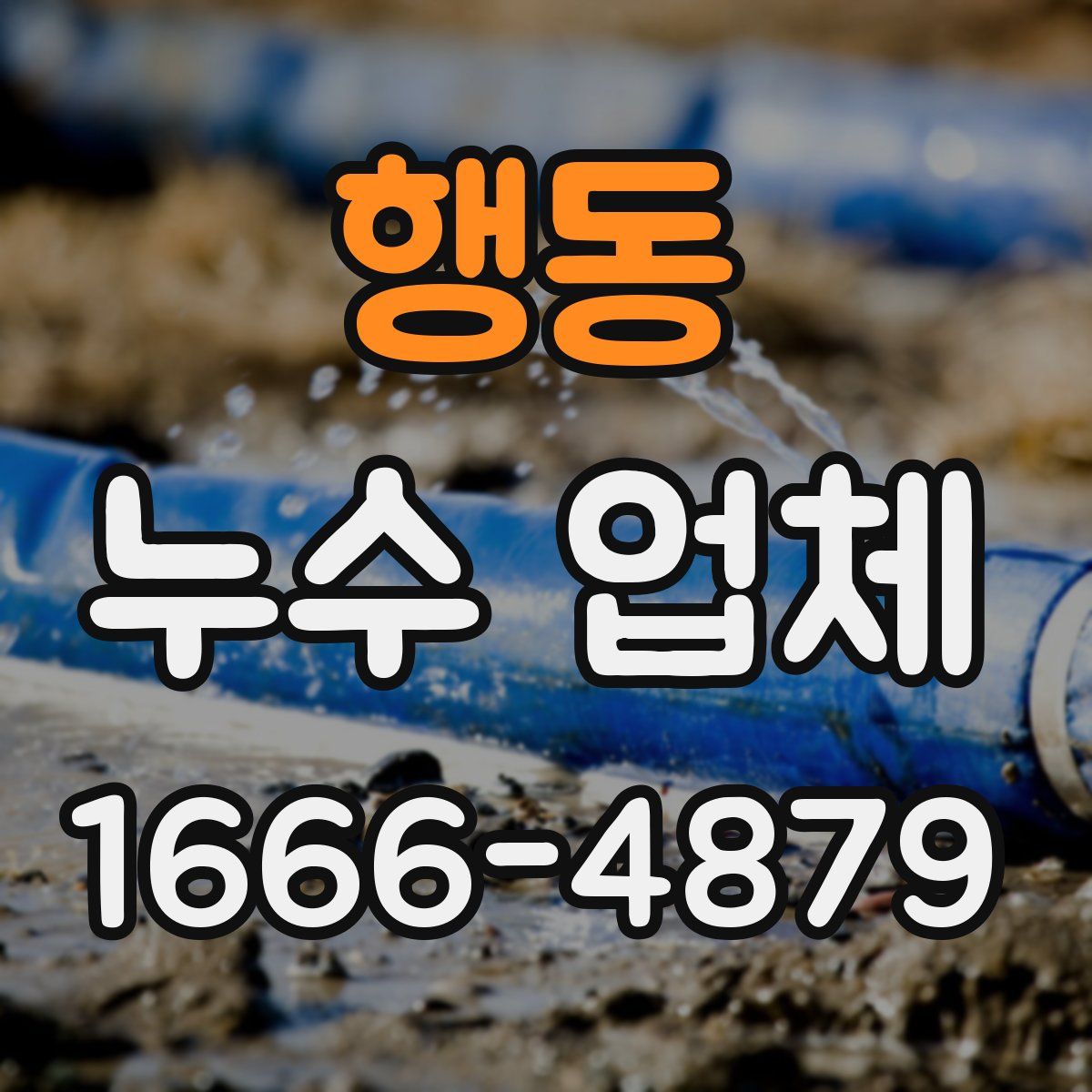행동 누수 업체