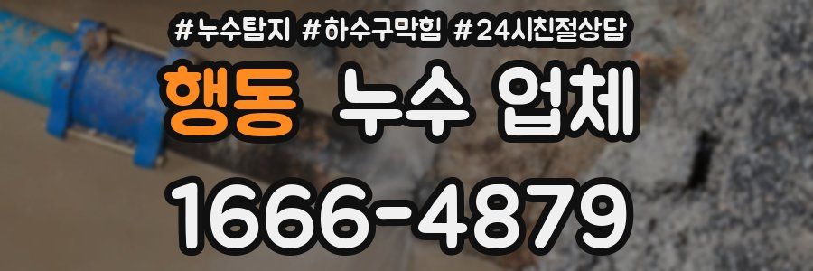 행동 누수 업체
