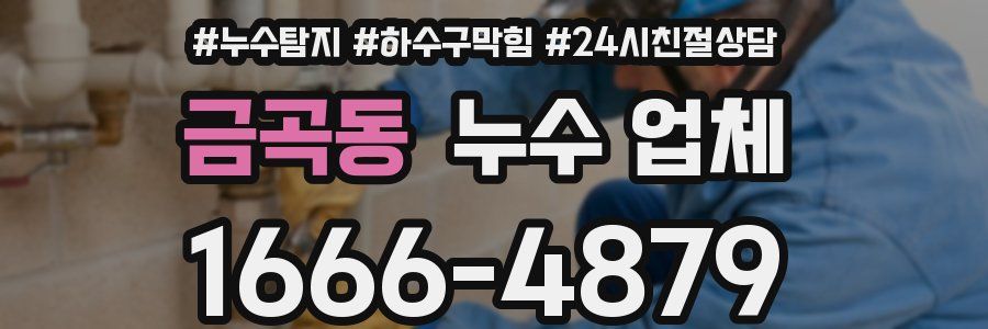 금곡동 누수 업체
