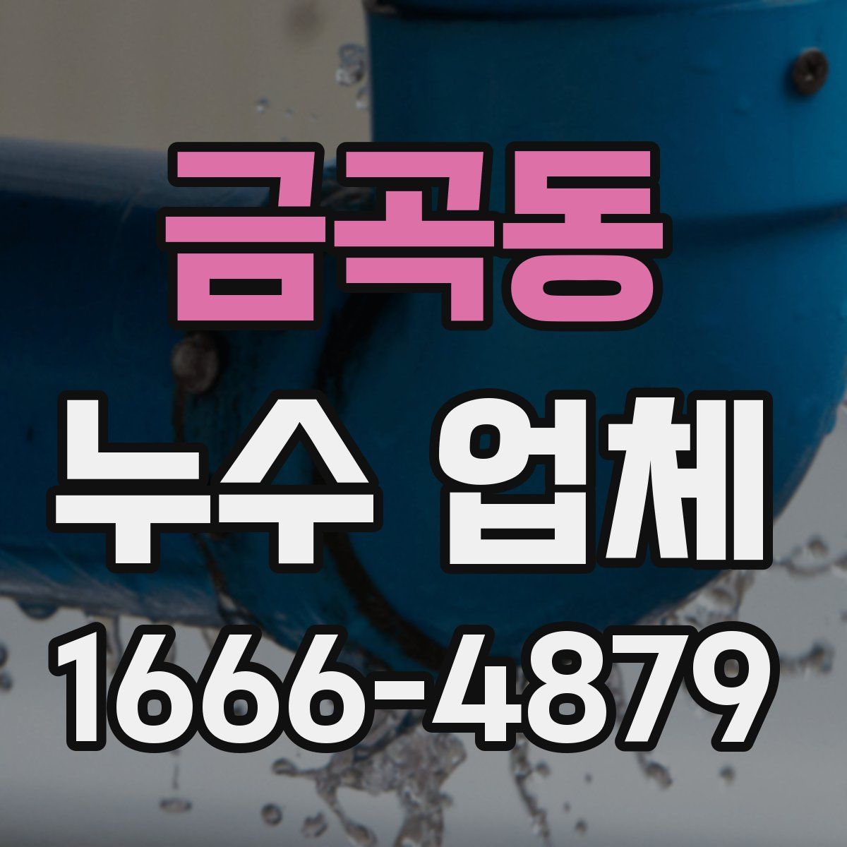 금곡동 누수 업체