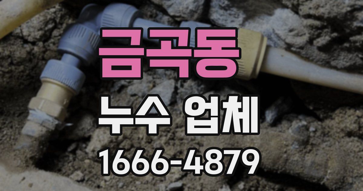 금곡동 누수 업체