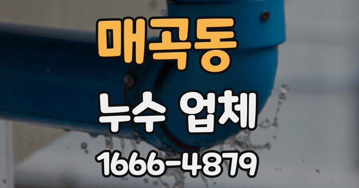 매곡동 누수 업체