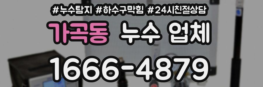 가곡동 누수 업체