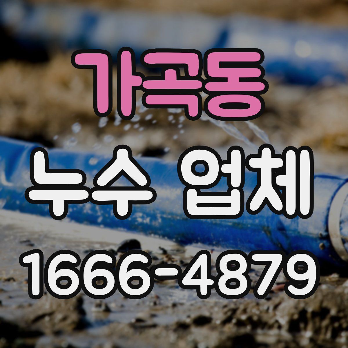 가곡동 누수 업체