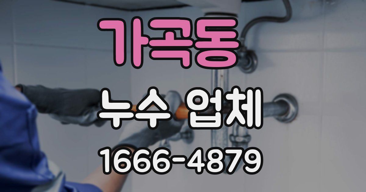 가곡동 누수 업체