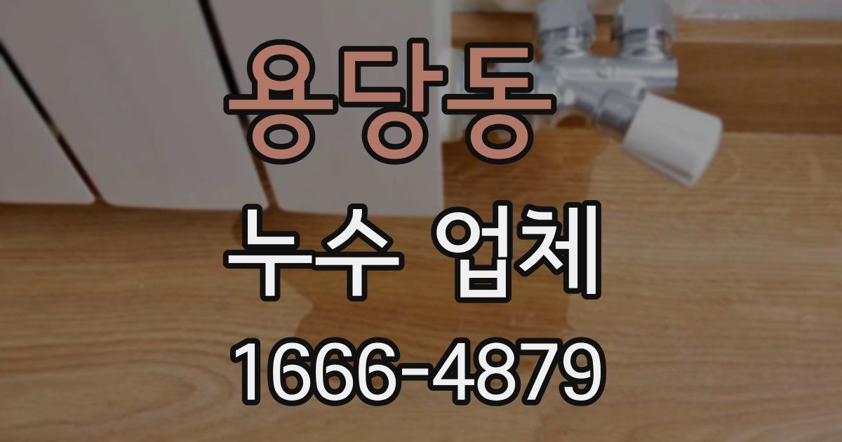 용당동 누수 업체
