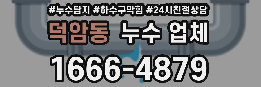 덕암동 누수 업체