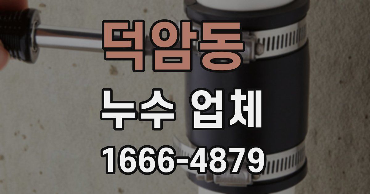 덕암동 누수 업체