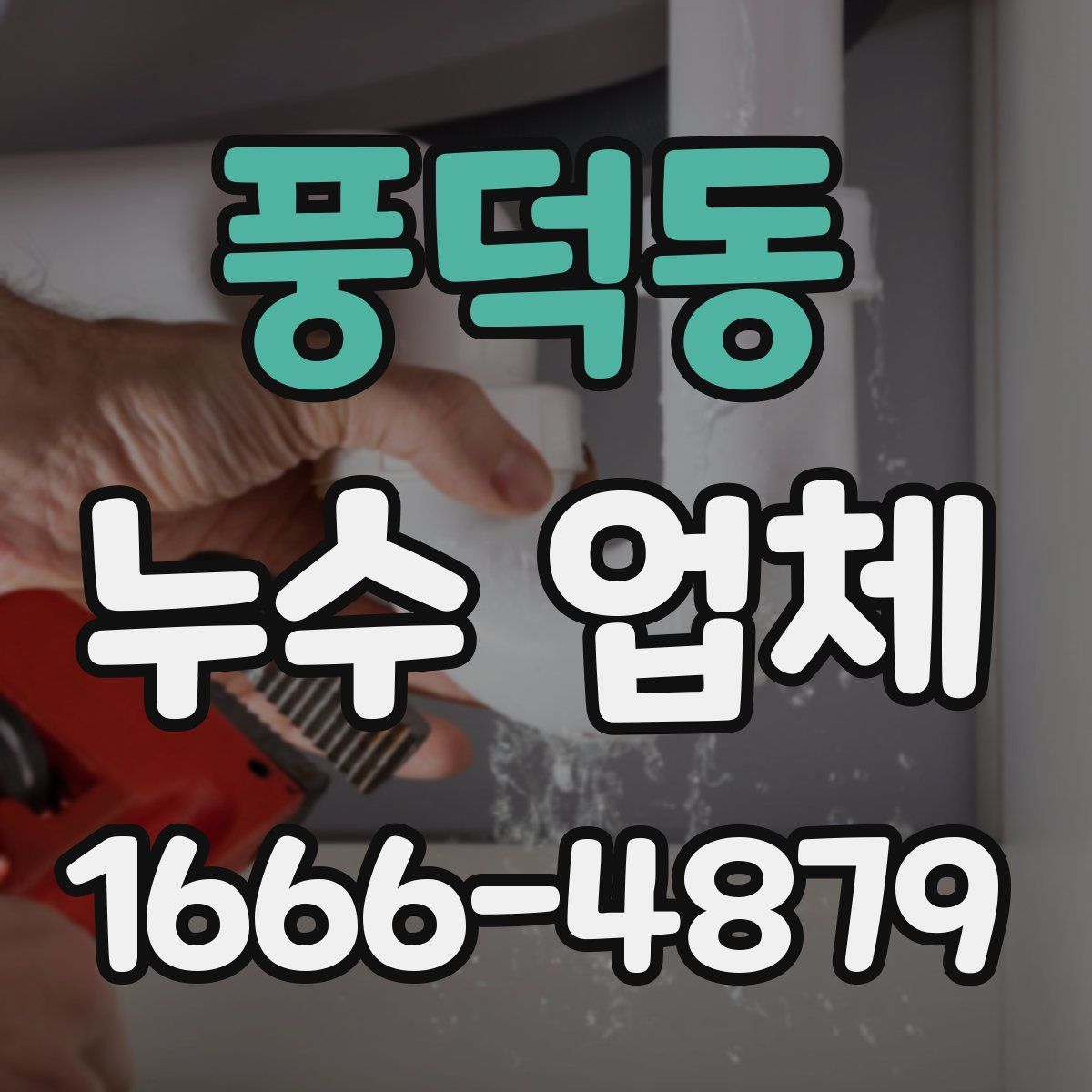 풍덕동 누수 업체
