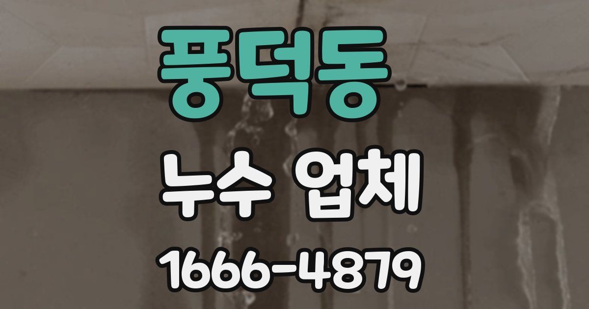 풍덕동 누수 업체