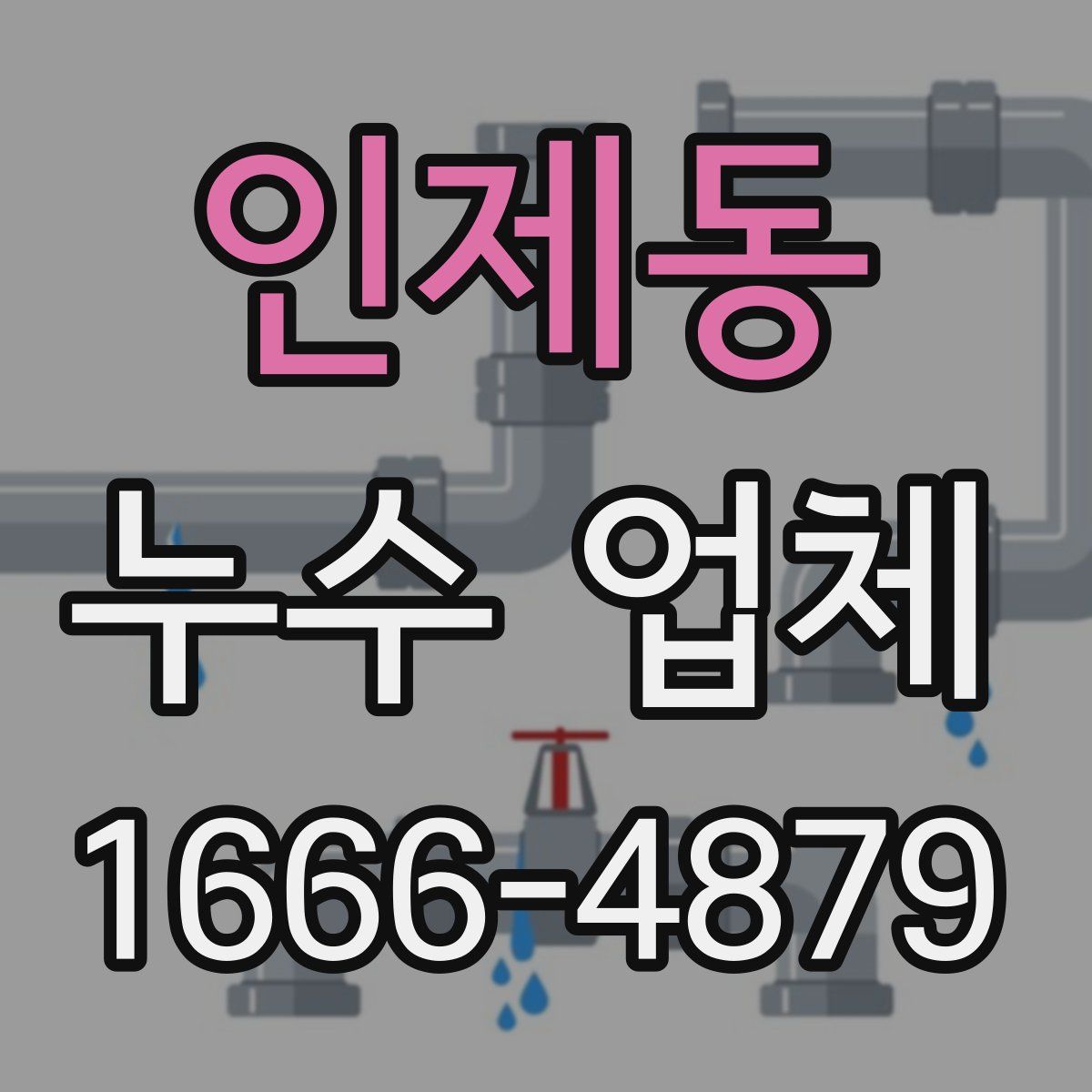 인제동 누수 업체