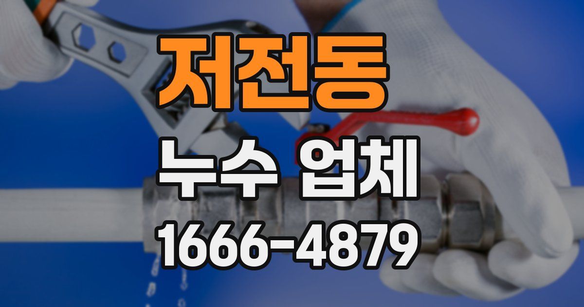 저전동 누수 업체