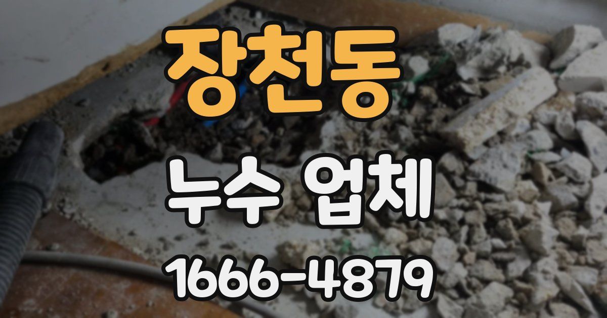 장천동 누수 업체