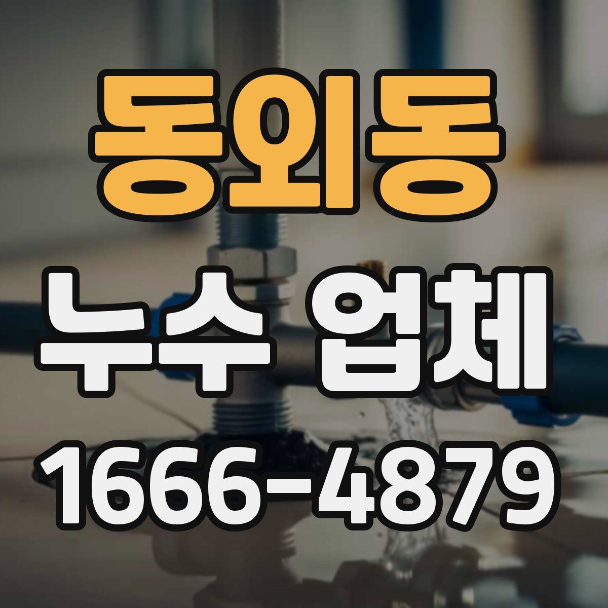 동외동 누수 업체