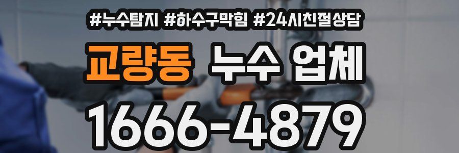 교량동 누수 업체