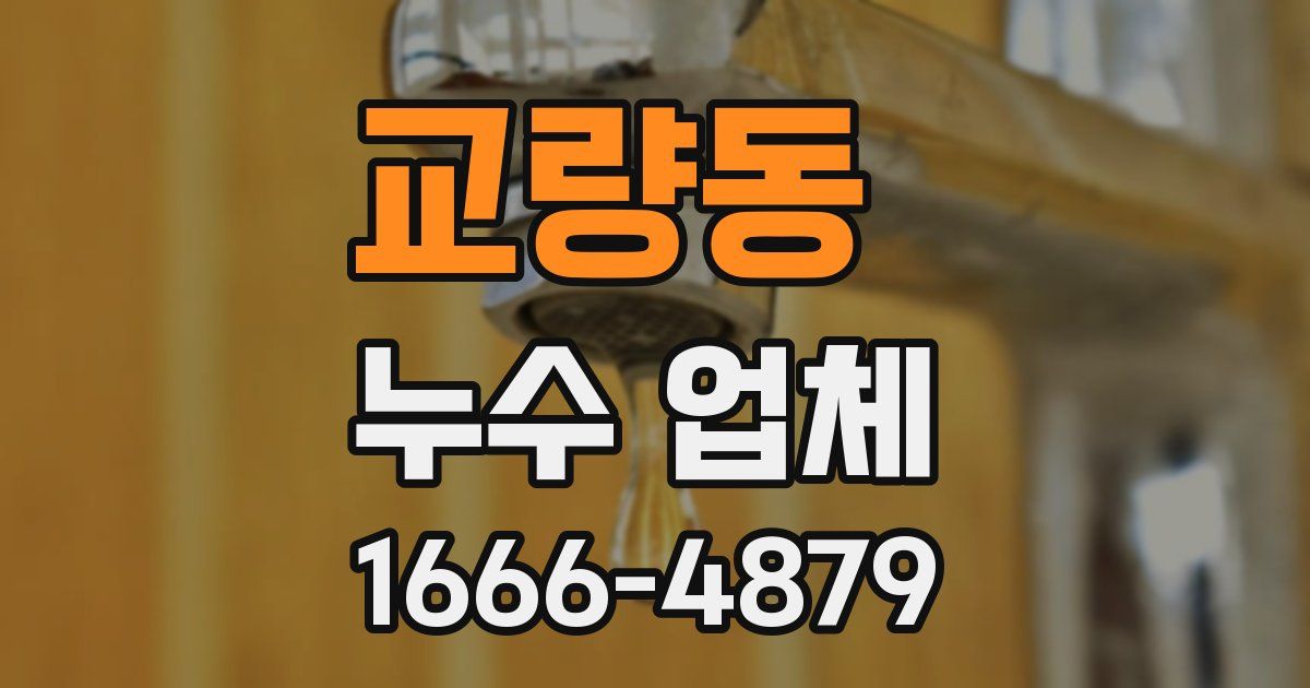 교량동 누수 업체