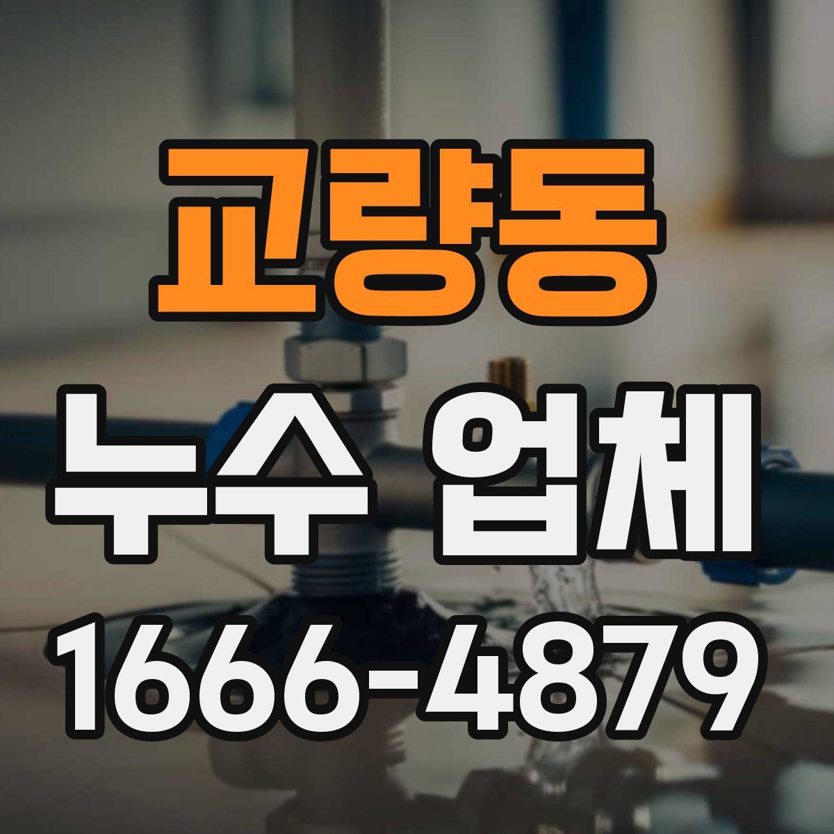교량동 누수 업체