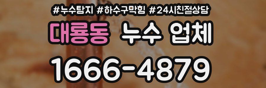 대룡동 누수 업체