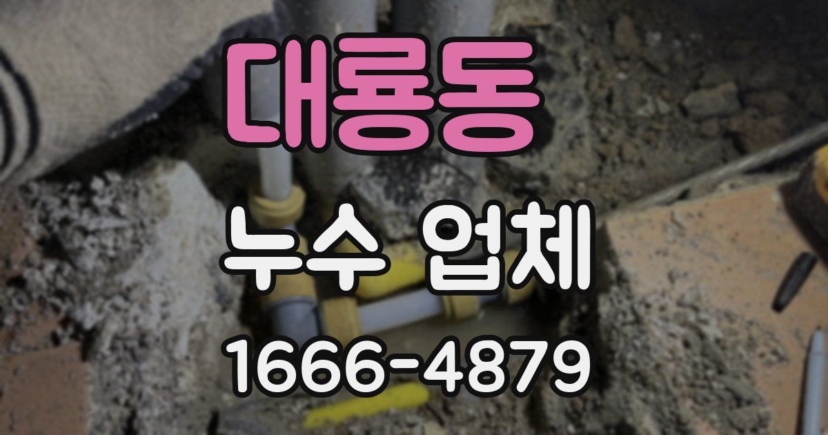 대룡동 누수 업체