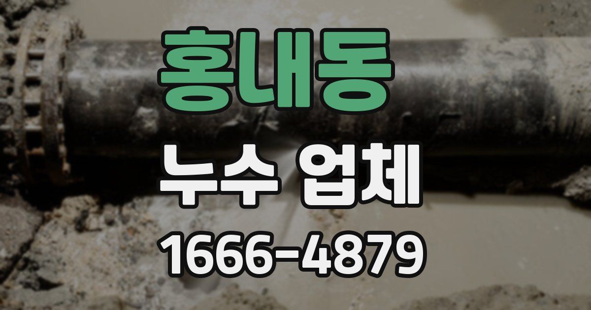 홍내동 누수 업체