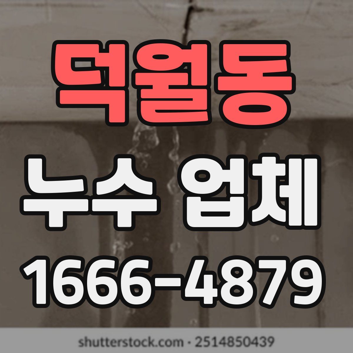 덕월동 누수 업체