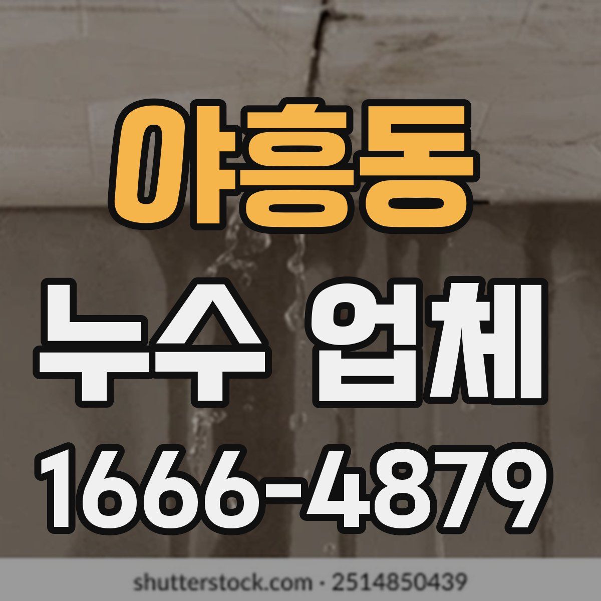 야흥동 누수 업체