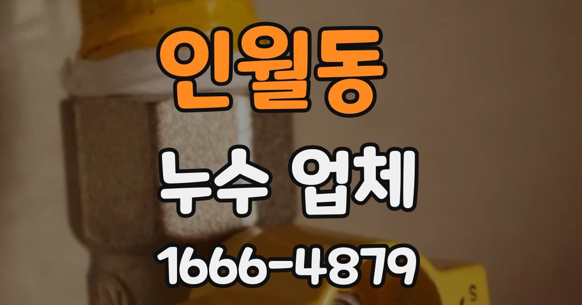 인월동 누수 업체