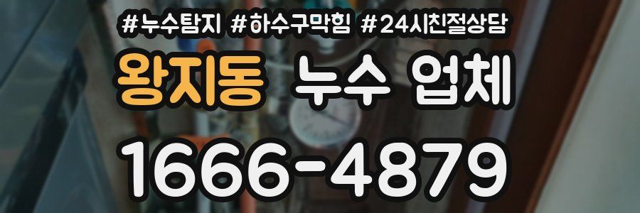왕지동 누수 업체