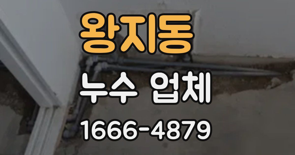 왕지동 누수 업체