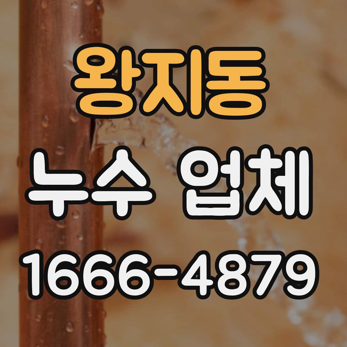 왕지동 누수 업체