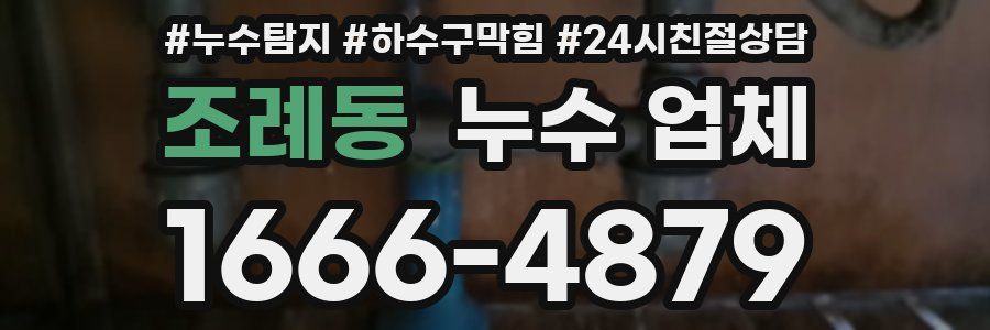 조례동 누수 업체